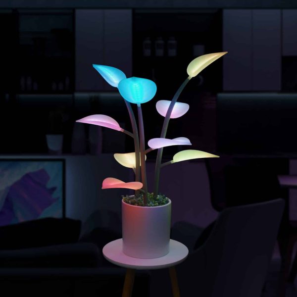 Fluora Mini plant